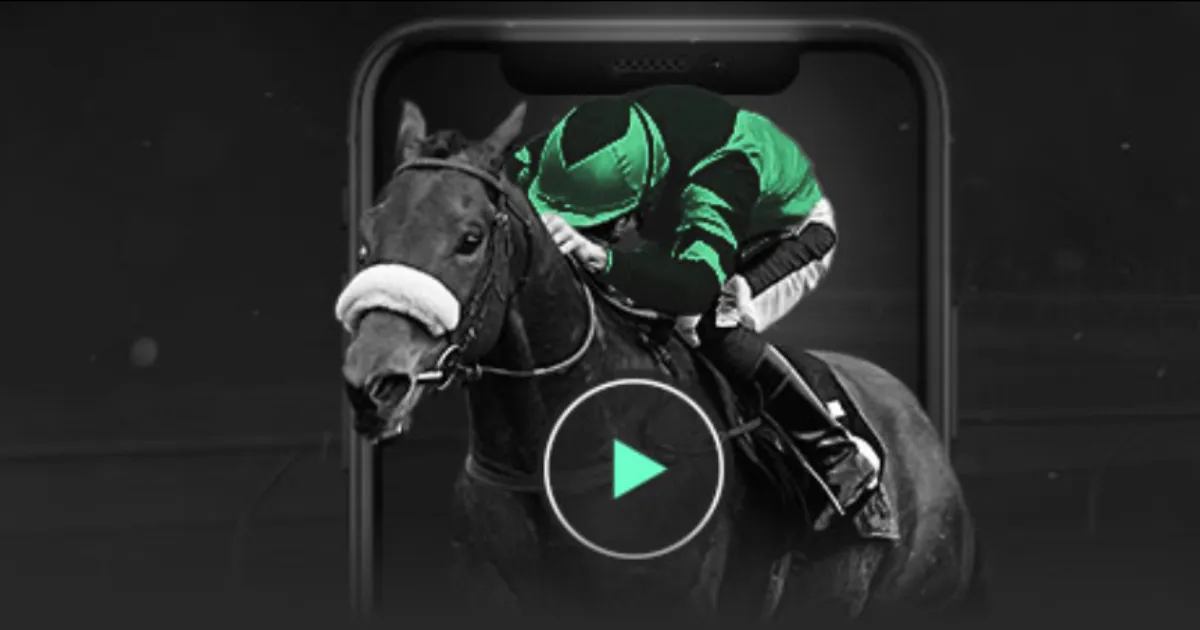 段冉,希尔德助力,勇士三分爆,太阳城官网,官方娱乐平台,娱乐游戏,彩票投注,安全保障,游戏种类