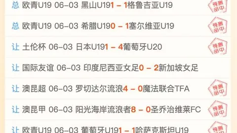 土耳其友谊赛盘点：12胜8负，效率明显下降，友谊赛战绩背后的真相