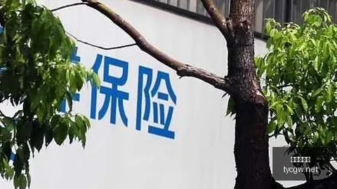 电竞游戏更新，太阳城官网，，全新社交玩法引爆热议